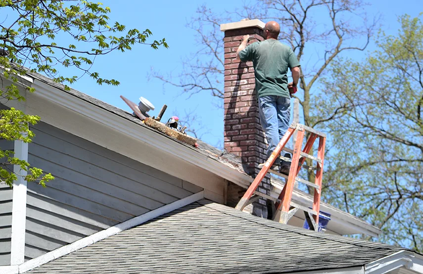 Chimney & Fireplace Inspections Services in Schenectady, NY